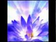 Healing music - Relaxation & Meditation music. Calming and Tranquil...