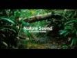 Nature Sound 3 - THE MOST RELAXING SOUNDS -